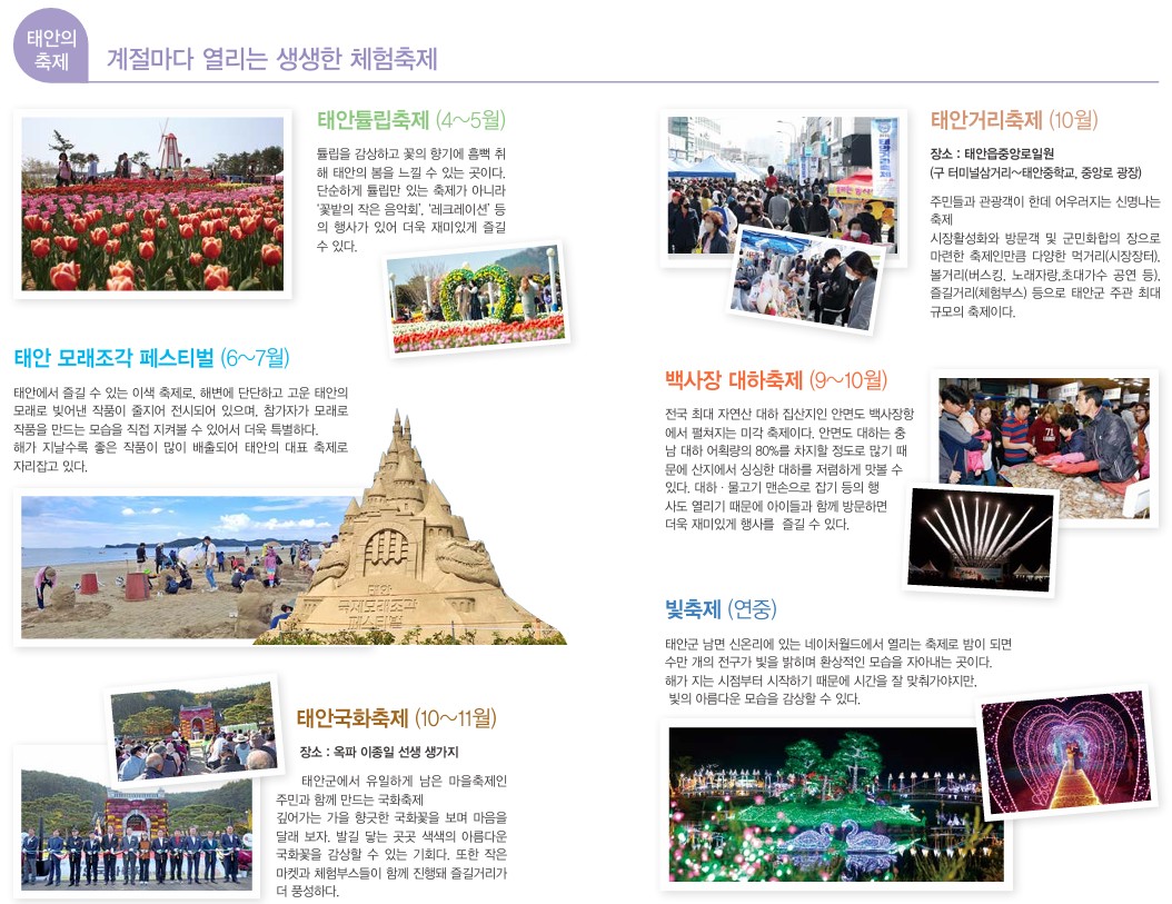 안면도축제.jpg